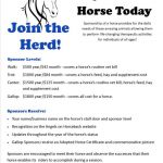 Join the Herd in 2024 –  Sponsor a Horse Today