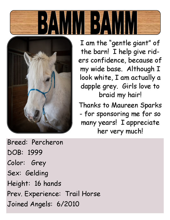 Maureen Starks is a Gallop Sponsor for Bamm Bamm